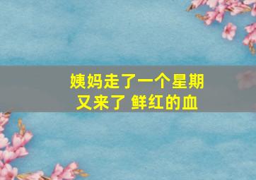 姨妈走了一个星期又来了 鲜红的血